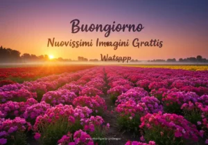 Buongiorno Nuovissimi Immagini Gratis WhatsApp