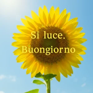 Sii luce Buongiorno.