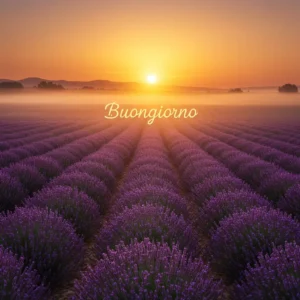 alba dai toni caldi e un dorato Buongiorno