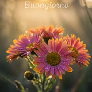 fiori selvatici con raggi di sole e tenui colori pastello